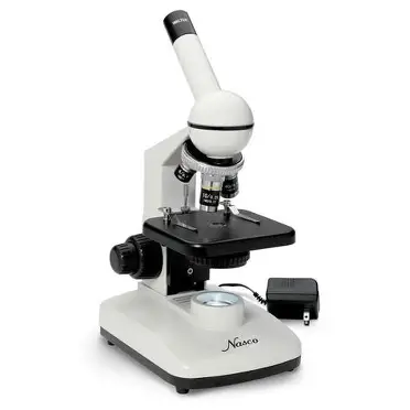 Microscopes